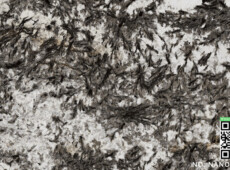 NO.: Nanoglass 32
Name: nano glass 32 NO.: Nanoglass 32
